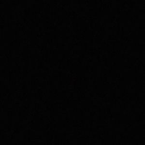 Meet your Posher, Phoebe